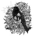 Vector illustration of a mystical raven surrounded by wild berries, flowers, mushrooms, cobwebs Royalty Free Stock Photo